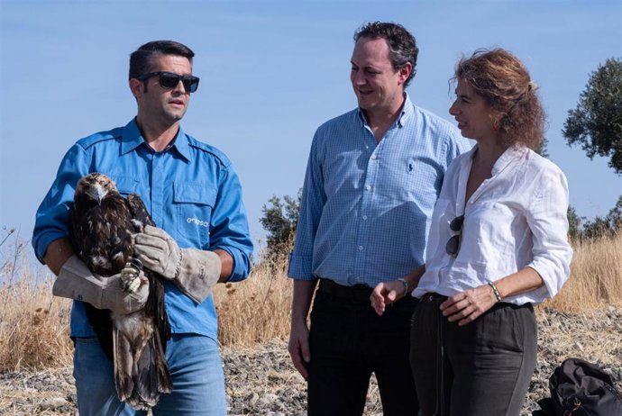 Se libera un águila imperial tras recuperarse de heridas severas ocasionadas por un disparo