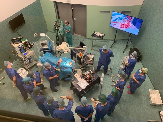 Formación en cirugía en Iavante