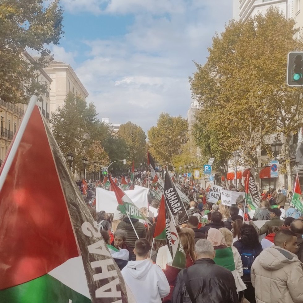 Organizaciones prosaharauis reclaman en Madrid la celebración urgente del referéndum de autodeterminación.