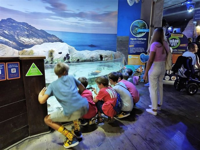 Familias de refugiados ucranianos visitan Sea Life