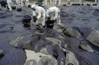 El Prestige, 20 años después: un pleito pendiente, demanda de un plan de contingencia y el "riesgo" de otro siniestro