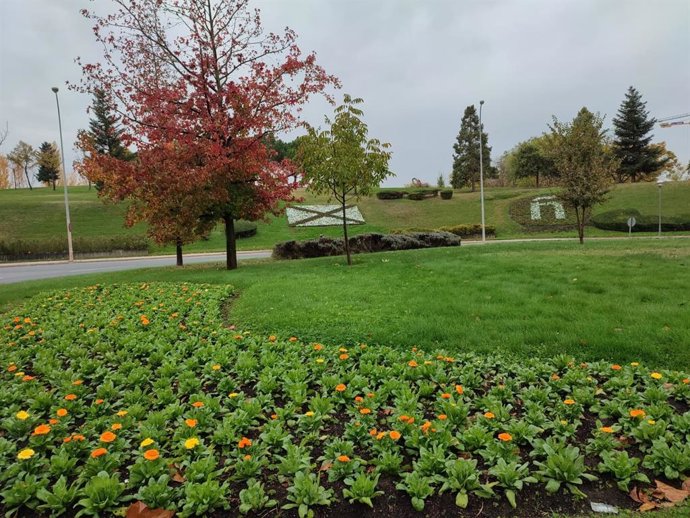 El Ayuntamiento de Logroño comienza la plantación de flor de la temporada de invierno