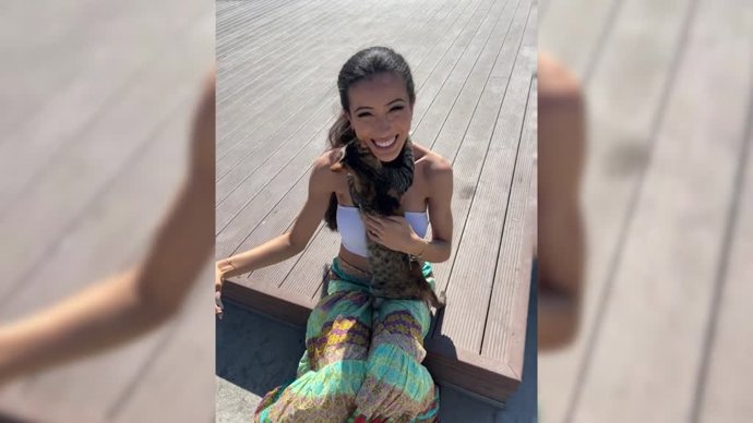 El gato más cariñoso del mundo: no se despegaba de esta turista