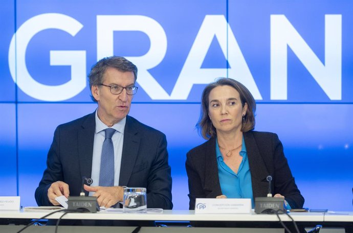 El presidente del PP, Alberto Núñez Feijóo, y la secretaria general del PP, Cuca Gamarra, ofrecen una rueda de prensa tras presidir la reunión del Comité Ejecutivo Nacional del PP, en la sede nacional del PP, a 14 de noviembre de 2022, en Madrid (España