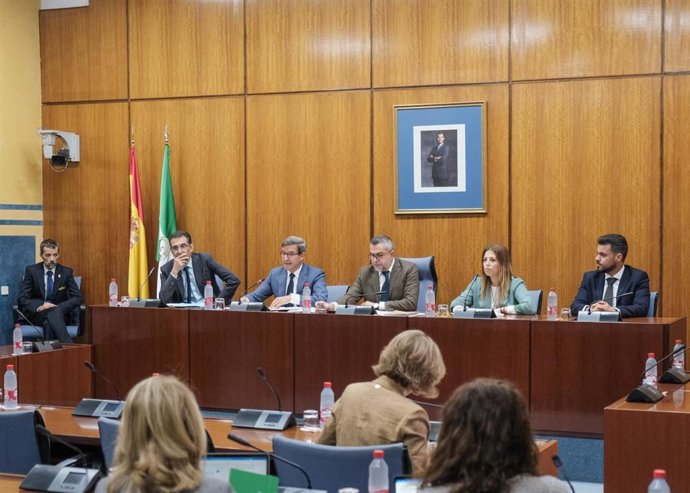 El consejero de Política Industrial y Energía, Jorge Paradela, en comisión parlamentaria.