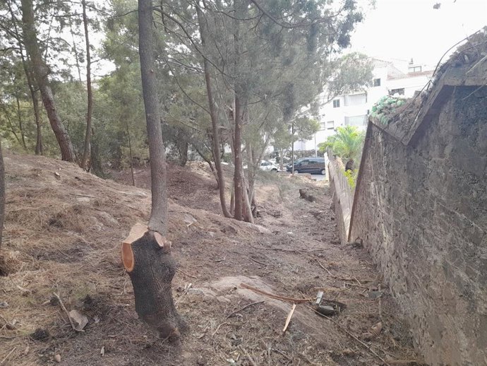 El Ayuntamiento inicia los trabajos de prevención de incendios en los parques forestales de la ciudad