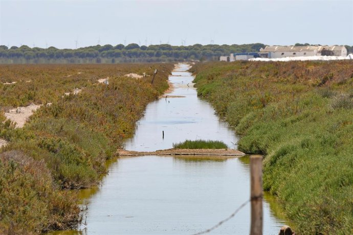 Archivo - El Foro de la Economía del Agua destaca el valor del regadío