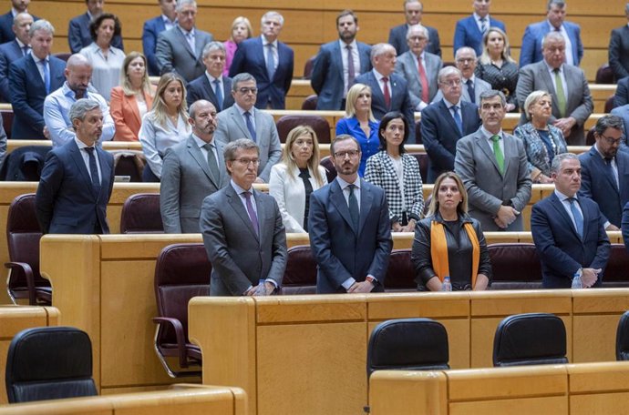 (Fila abajo) El presidente del Partido Popular, Alberto Núñez Feijóo (4d); el portavoz del PP en el Senado, Javier Maroto (3d), y el coordinador general del PP, Elías Bendodo (1d), en una sesión de control al Gobierno en el Senado, a 25 de octubre de 20