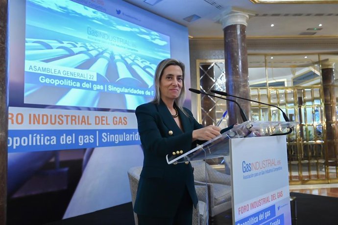 La presidenta de GasIndustrial, Verónica Rivire