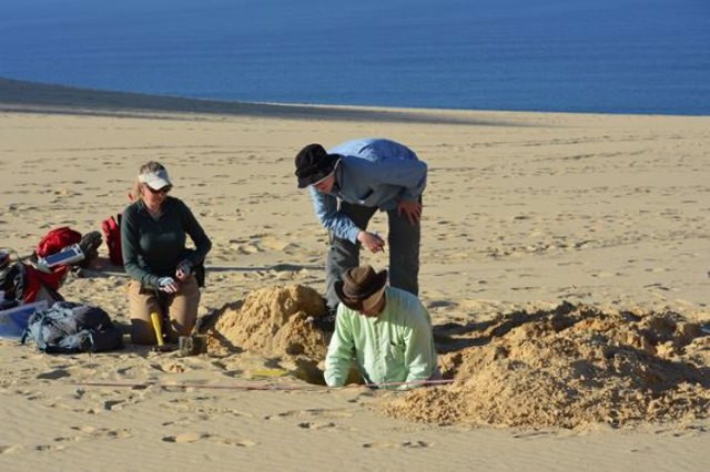 Investigadores de la Universidad Estatal de Utah y la Universidad de Queensland examinan las arenas de K'Gari (Isla Fraser) en el este de Australia.