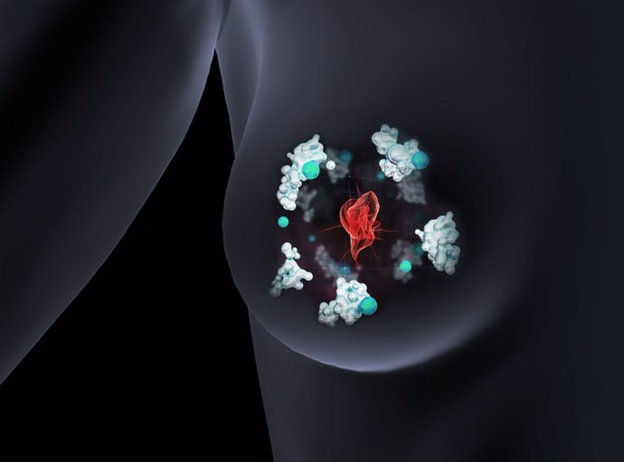 La célula cancerosa roja utiliza la proteína blanca Memo1 para unirse a los iones verdes de cobre.