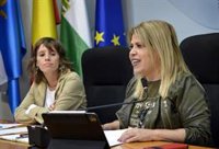 El Ayuntamiento de Jerez (Cádiz) solicita que solo su centro histórico sea declarado Zona de Gran Afluencia Turística