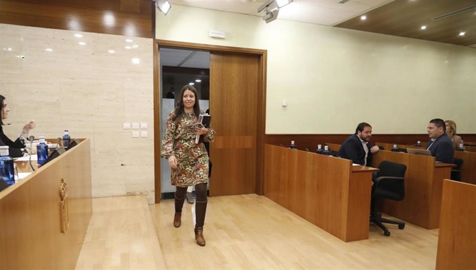 La consejera de Bienestar Social, Bárbara García Torijano, en las Cortes.