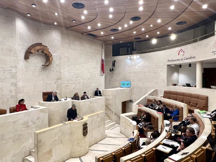 El vicepresidente, Pablo Zuloaga, interviene en el Pleno del PArlamento