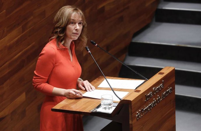 La consejera de Hacienda, Ana Cárcaba, en el pleno de la Junta.
