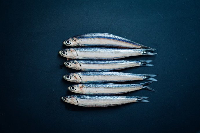 Archivo - Boquerones. Pescado azul.