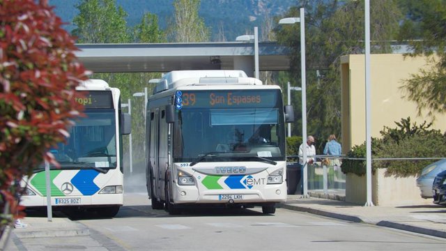 La gratuidad del transporte público en Baleares en 2023 se extenderá al autobús y podría incluir también a la EMT Archivo - Bus de la EMT Palma.