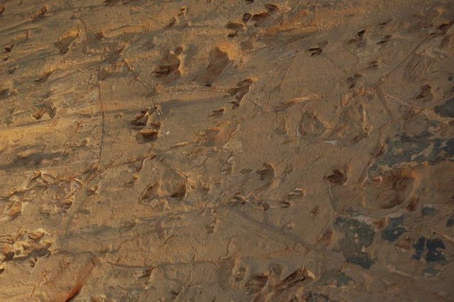 Imagen digital de primer plano de huellas de dinosaurios en Lark Quarry.