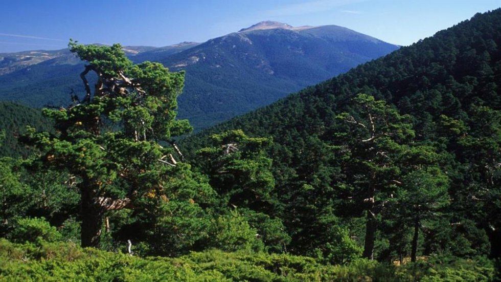 Archivo - Parque Nacional del Guadarrama