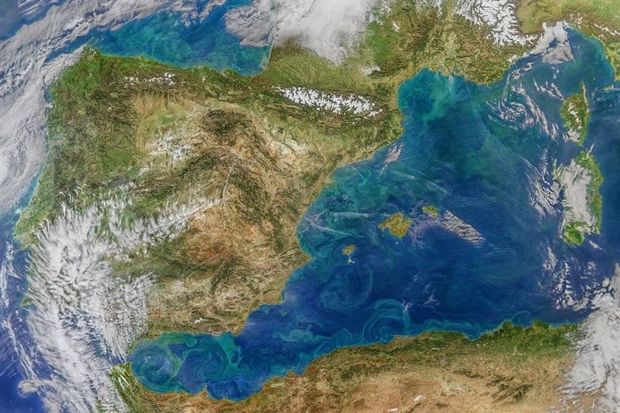 La concentración de clorofila en el Mediterráneo español ha disminuido un 20% en las últimas dos décadas