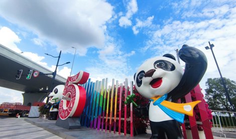 Comunicados Internacional