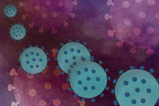 Archivo - Ilustración de los virus SARS-CoV-2, responsables de la enfermedad COVID-19