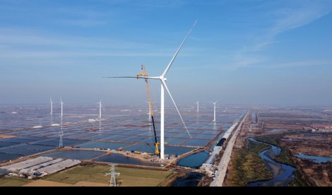 Comunicados Internacional