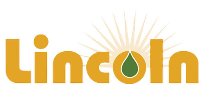 Lincoln Terminal Holdings, LP