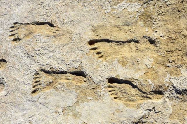 Huellas encontradas en el Parque Nacional White Sands en Nuevo México, consideradas la evidencia más temprana de actividad humana en las Américas.