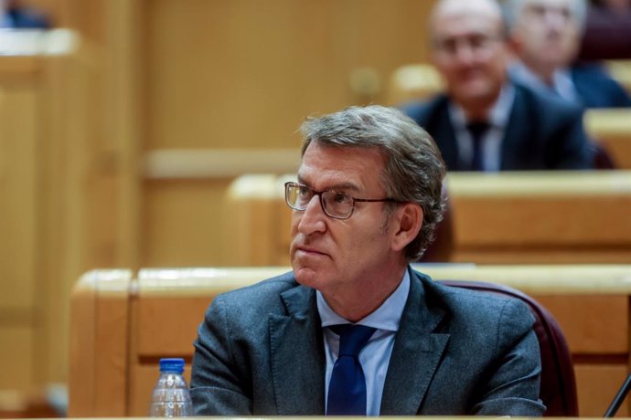 El presidente del Partido Popular, Alberto Núñez Feijóo, en una sesión de control al Gobierno, en el Senado, a 15 de noviembre de 2022, en Madrid (España). El Senado celebra una nueva sesión de control al Gobierno, sin la presencia del jefe del Ejecutiv