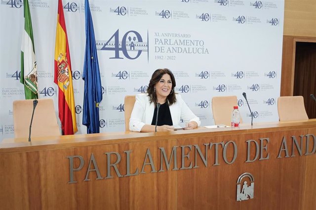 La portavoz parlamentaria del PSOE-A, Ángeles Férriz, en rueda de prensa.