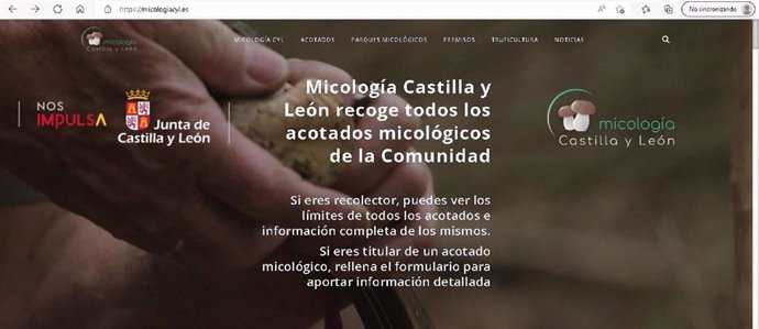 La Junta impulsa 'Micología', un portal web y una APP sobre los terrenos y parques micológicos de la Comunidad