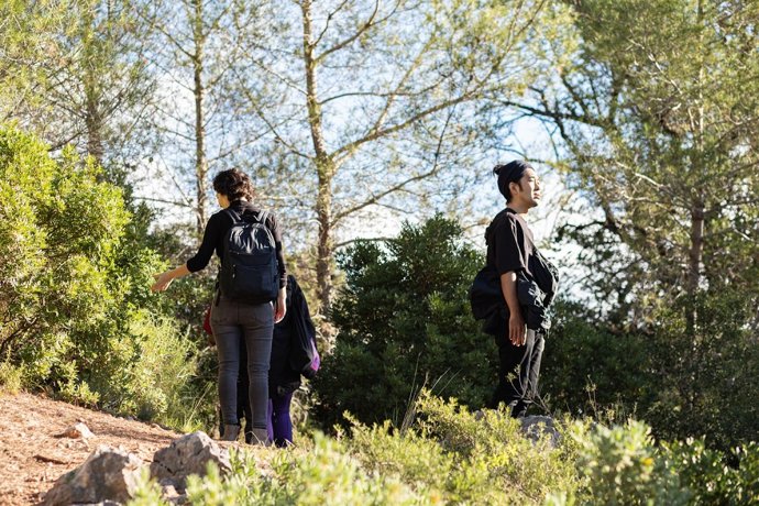 El Consorci de Museus muestra en La Vall de Gallinera las obras de la residencia artística Enclave Land Art