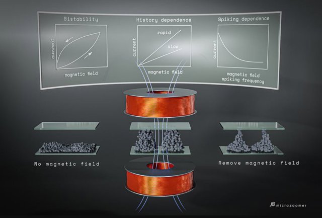 La forma y la conductividad de los pilares formados por perlas magnéticas en un campo magnético dependen de la fuerza y la historia de los campos.