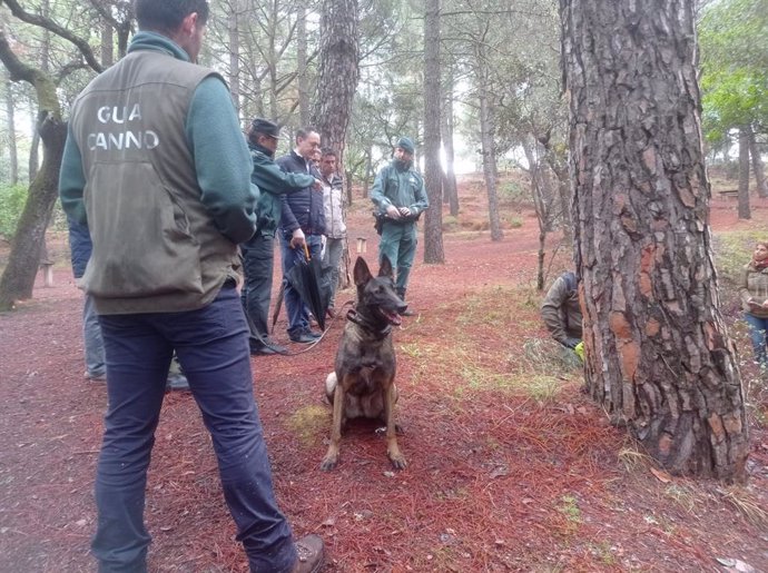 El delegado territorial de Sostenibilidad, Medio Ambiente y Economía Azul en Córdoba, Juan Ramón Pérez, asiste a una actuación de entrenamiento de la Unidad Canina Especializada.