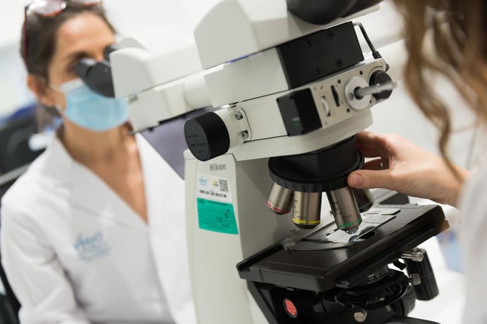 La revista 'Nature Communications' ha publicat els resultats