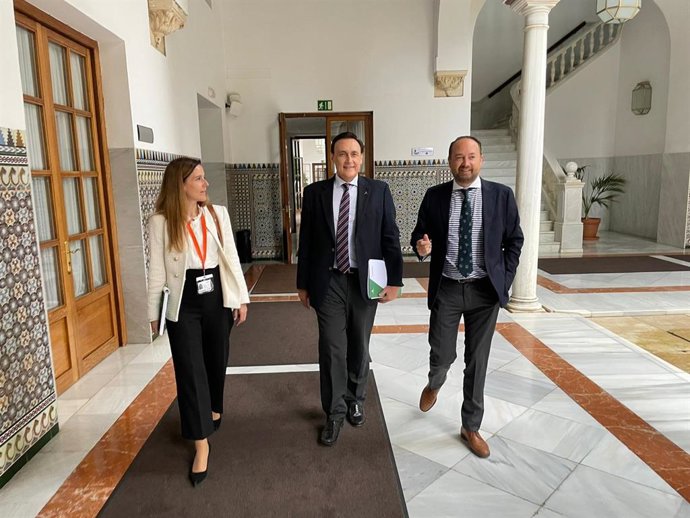 El consejero de Universidad, Investigación e Innovación, José Carlos Gómez Villamandos, en el Parlamento