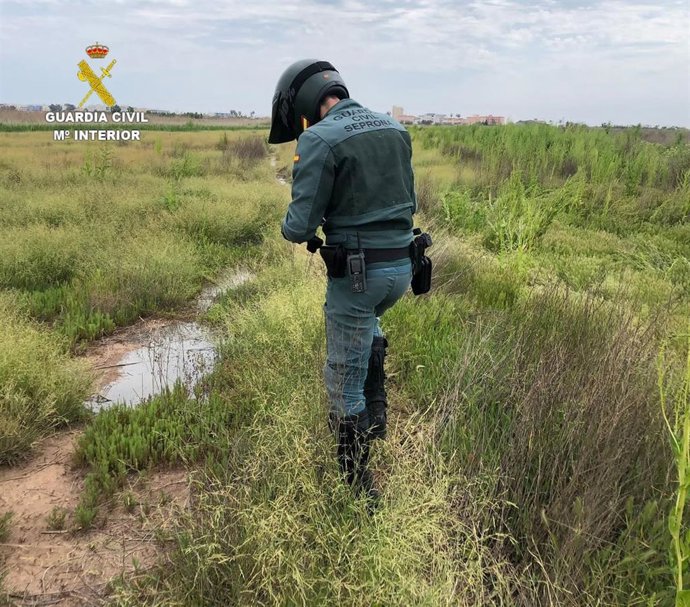Dos investigados por verter durante meses purines en un espacio natural protegido de Nules