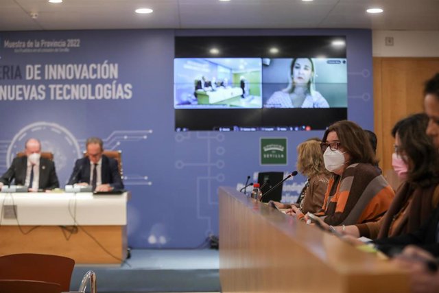 Pleno de presupuestos de la Diputación de Sevilla