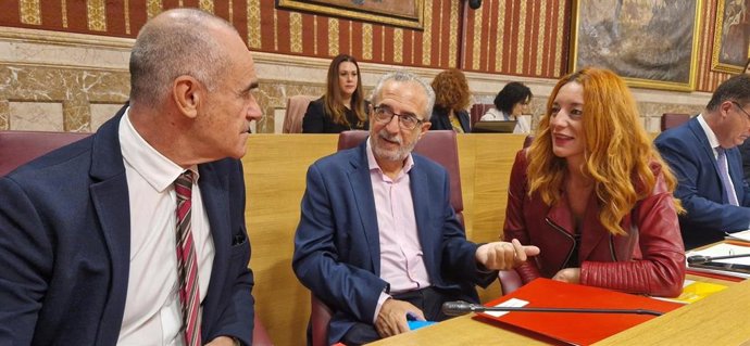 Nota De Prensa. Emvisesa (Pleno Municipal)