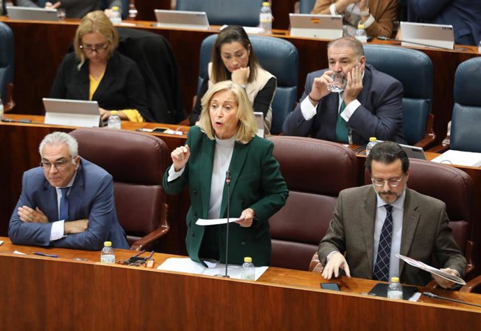 La consejera de Familia, Juventud y Política Social, Maria Concepción Dancausa Treviño. Archivo.