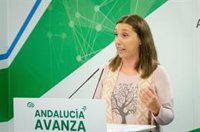 PP-A critica que el PSOE-A "siga defendiendo férreamente" que Griñán es "inocente" y que "la justicia se equivoca"