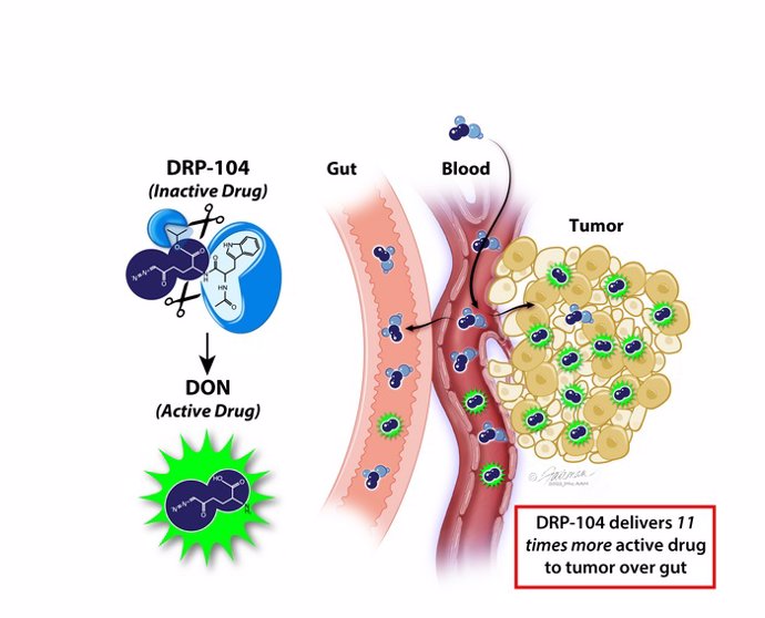 Esquema que muestra la bioactivación del DRP-104 a DON en el tumor y la bioinactivación a un metabolito inerte en los tejidos GI.