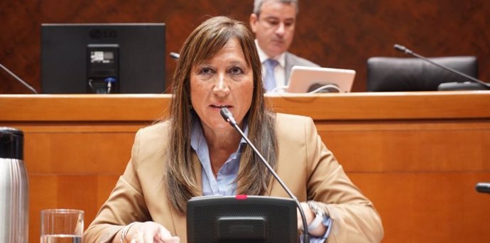 La consejera de Sanidad, Sira Repollés, en su comparecencia ante la Comisión de Hacienda de las Cortes de Aragón.