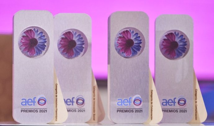 Cuatro fundaciones reciben los Premios de la Asociación Española de Fundaciones (AEF)