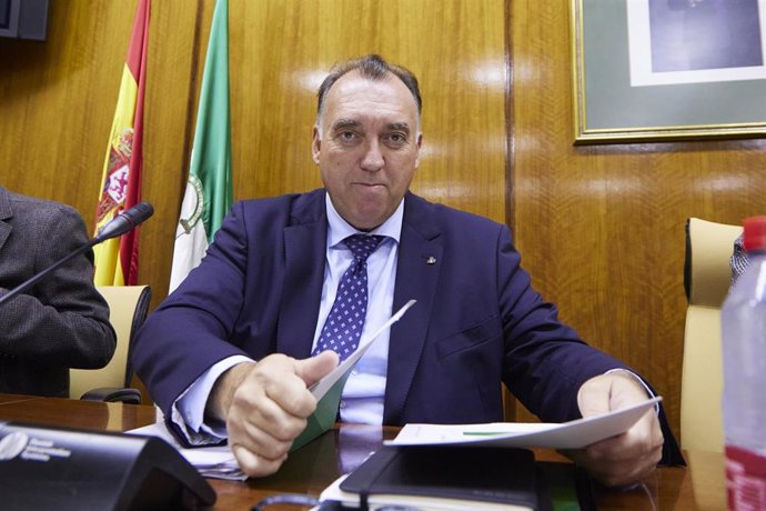 El consejero de Turismo, Cultura y Deporte de la Junta de Andalucía, Arturo Bernal, durante la Comisión de Cultura, Turismo y Deporte en el Parlamento de Andalucía.