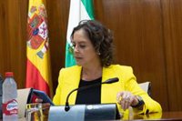 García destaca que los Presupuestos de la Junta para 2023 destinan 1.500 millones más en atención primaria que en 2018