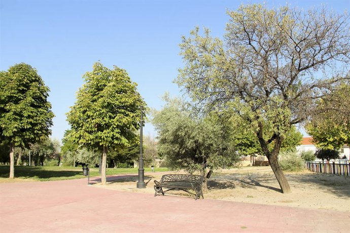 Archivo - Imatge d'arxiu d'arbres en un parc