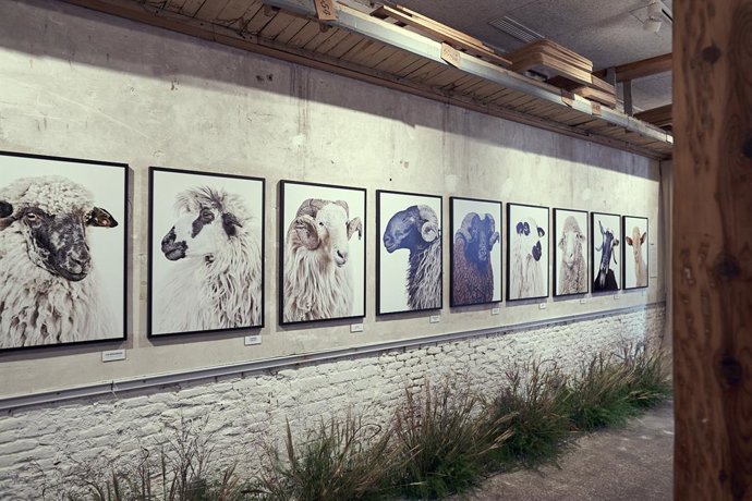 Pop-up Pastoreo de Interovic