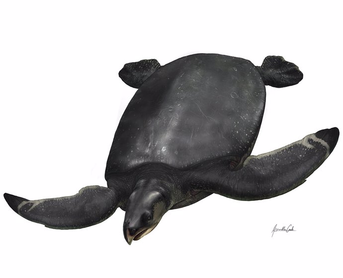 Recreación artística de la nueva especie Leviathanochelys aenigmatica